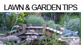 Lawn and Gardening